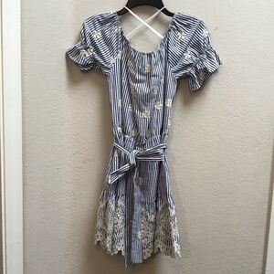 Wayf Western Striped Mini Dress with Floral Embroidery